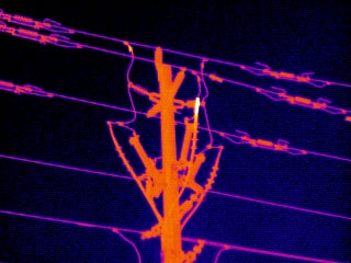 Utility Pole in IR